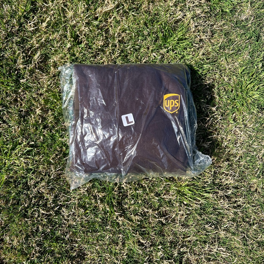 NWT UPS small logo hoodie